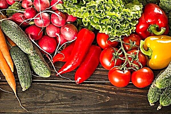Preços dos primeiros legumes na Ucrânia caem