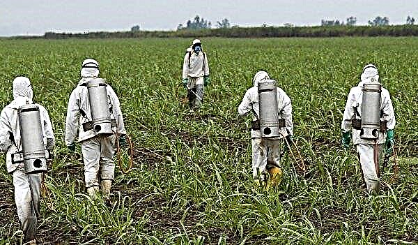 Field robots cannot replace the use of glyphosate