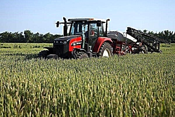 The Balmoral Show telah mendedahkan perlunya melindungi sektor pertanian UK dari Brexit