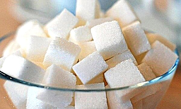 Russia intends to jump above its head and release a record amount of sugar