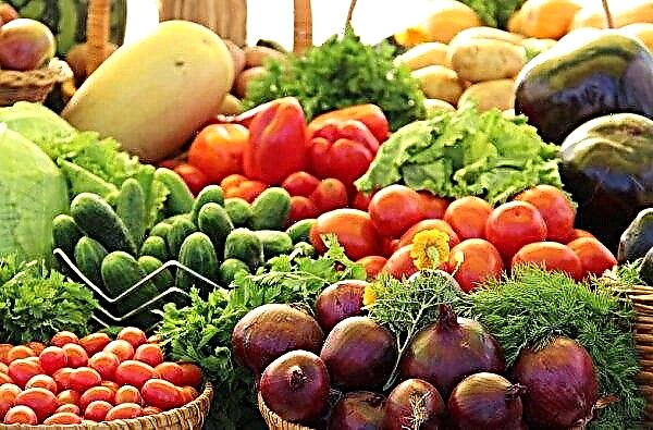 Em Maharashtra, Índia, nova política de exportação agrícola em breve