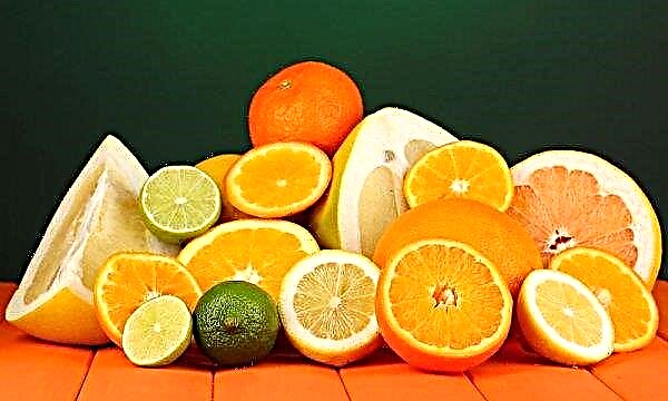 Os EUA registraram uma queda no volume de exportação de laranjas e tangerinas