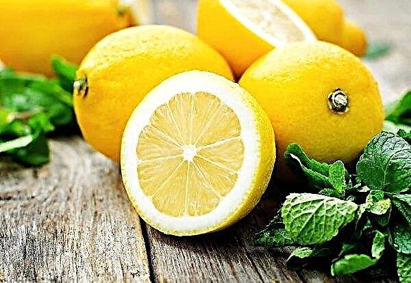 Eksportir lemon terbesar memasuki pasar India