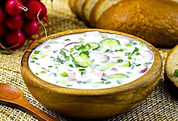 Experts recommend Russians to cook okroshka from farm vegetables and organic “milk”
