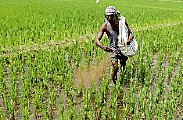 Indiens regering lanserar Farmers Mobile App