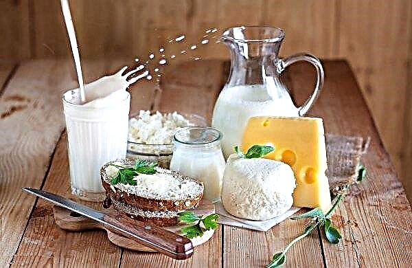 Süt ürünlerinin gıdaya eklenmesi yüzde 27'lik bir “zevk artışı” na neden olur