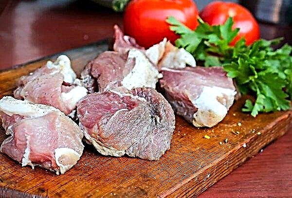 Bulgaria has the highest pork prices in the last decade