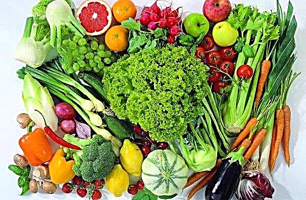 In Irkutsk open spaces there will be shops with affordable farm goods