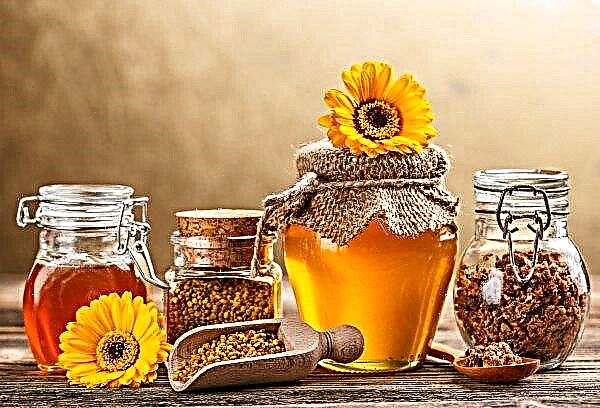 Die besten Proben des ukrainischen Honigs werden am kanadischen Wettbewerb teilnehmen