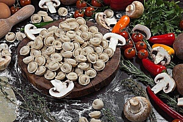 Roskachestvo: Carnea din găluște rusești lasă mult de dorit