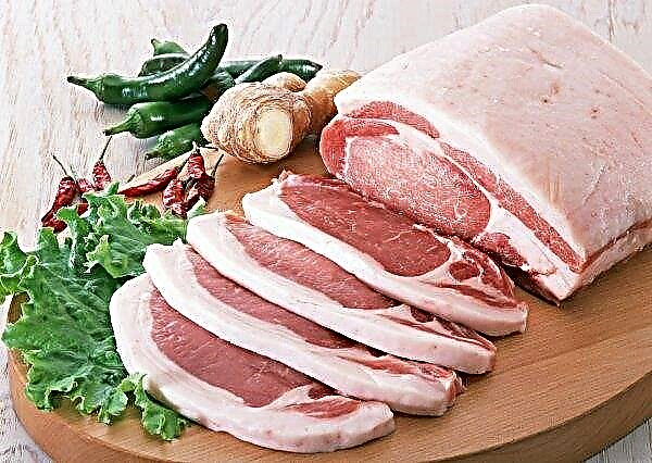 Cebo de cerdo en Ucrania más barato