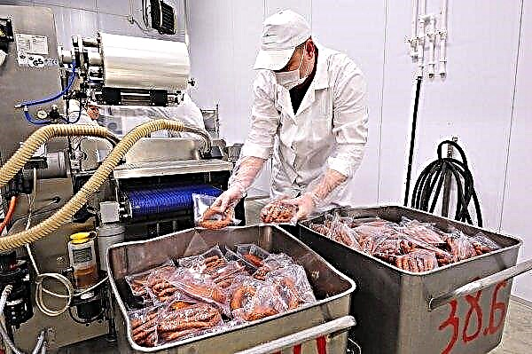 A fábrica de processamento de carne em Sumy foi vendida por 46 mil. UAH