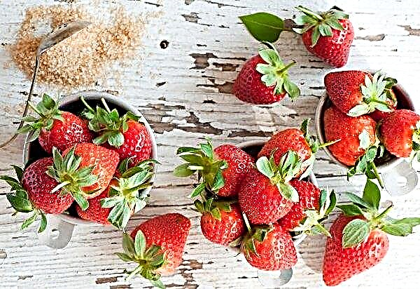 Krasnodar strawberry entered the market