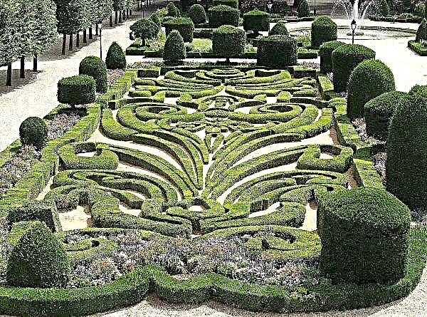 Vatican Gardens no longer treated with chemicals