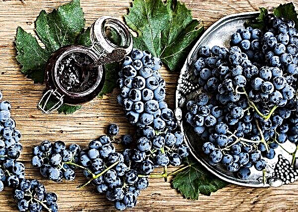 Ukraine returns to grape growing