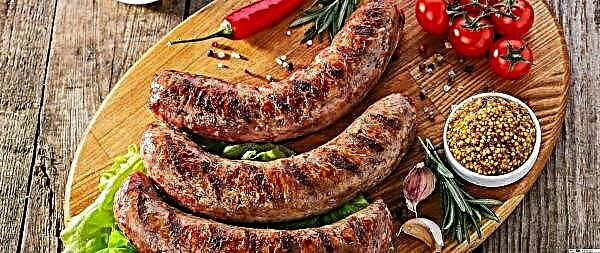 In the center of Kaliningrad, tons of festive sausages were eaten