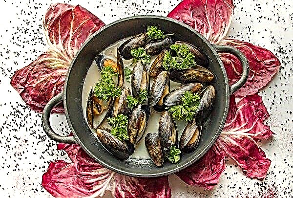 The Black Sea plans to lease for the cultivation of mussels