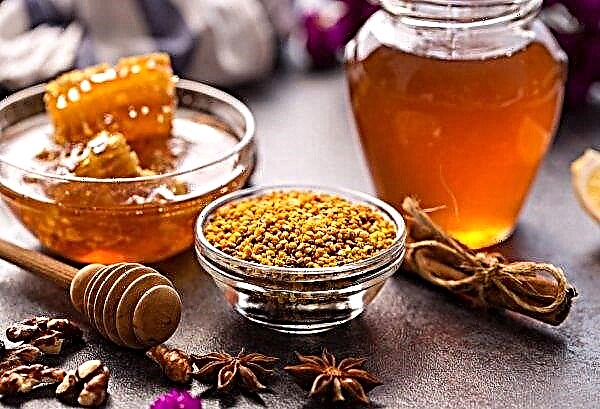Honey production of sports nutrition opened in Prikamye