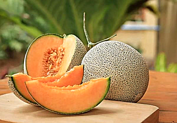 In Südkorea konzentrierte sich auf die Herstellung von Luxus-Sorten von Melonen