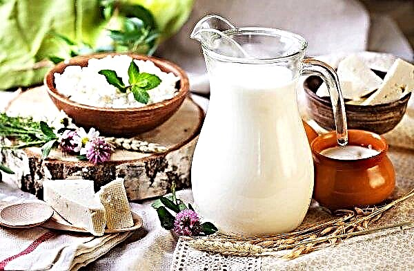 A new dairy opened in the Luhansk region