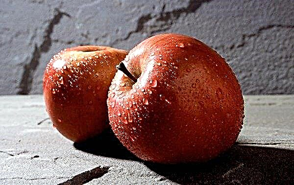 عصير التفاح سوف ينقذ الروس من نقص فيتامين