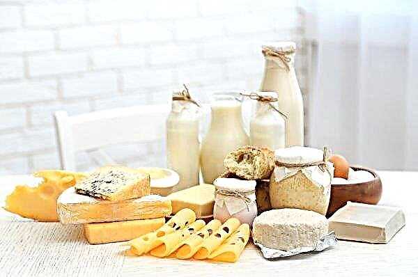 Konec aprila se bo začelo močno povečanje cen mlečnih izdelkov v Ukrajini