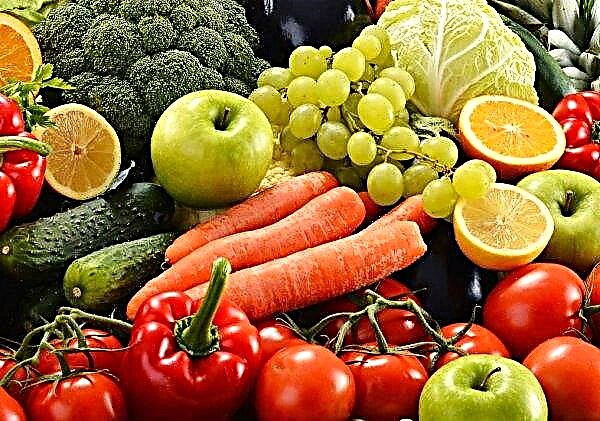 Les agriculteurs de Tyumen échangeront des fruits et des légumes contre des bonbons et des contenants en verre kirghizes