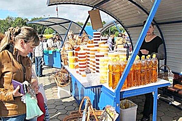 Kemerovo region plunged into the "Honey Paradise"
