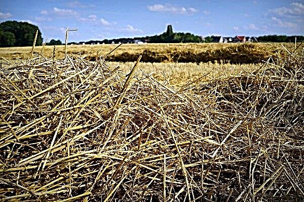 Crops in Azerbaijan Decline Due to Straw Arsonists