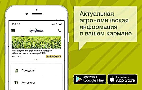 Syngenta запускає безкоштовний мобільний додаток для фермерів