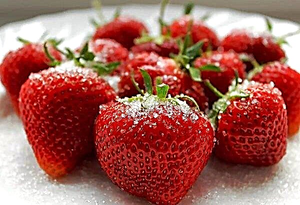 Unreliable strawberries from Turkey were not allowed into Russia