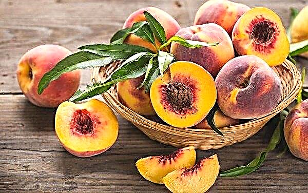 Moldova gets rid of peach orchards