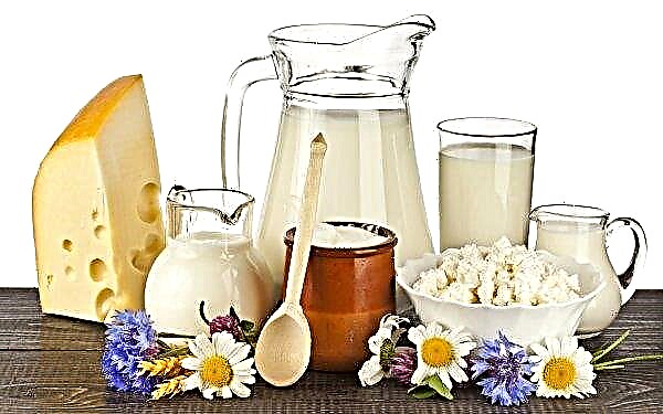 The main dairy trends of the current year are ecological products and healthy intestines.