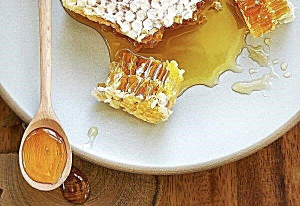 Honig für die Nacht: Ist es möglich zu essen, die Vor- und Nachteile