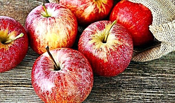Manzanas "con sorpresa" criadas en Italia