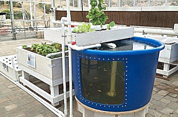 South African schools introduce aquaponics to curriculum