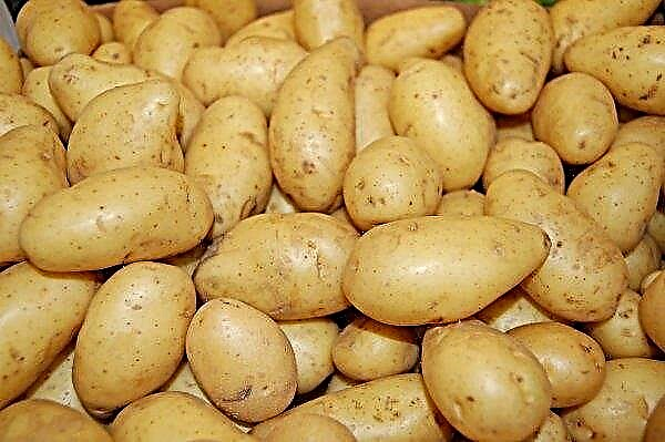 De Britten maakten aardappelen ... verpakkingen voor de pers