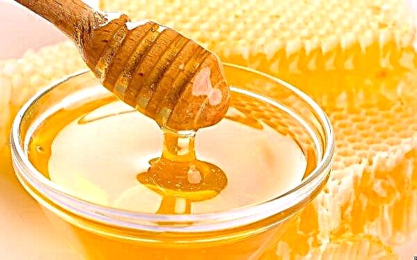 Le miel russe a conquis les Chinois: "Le président a dit que c'était délicieux!"
