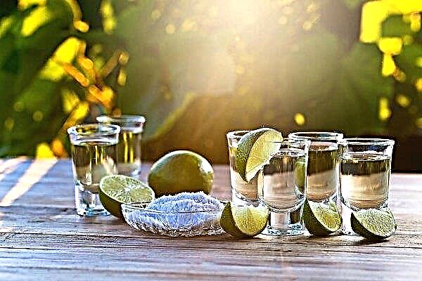 Tequila now has a protected geographical indication