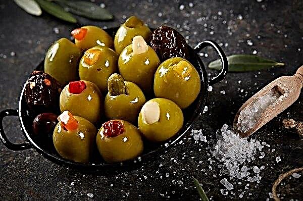 Iranska jordbrukare prioriterar oliver