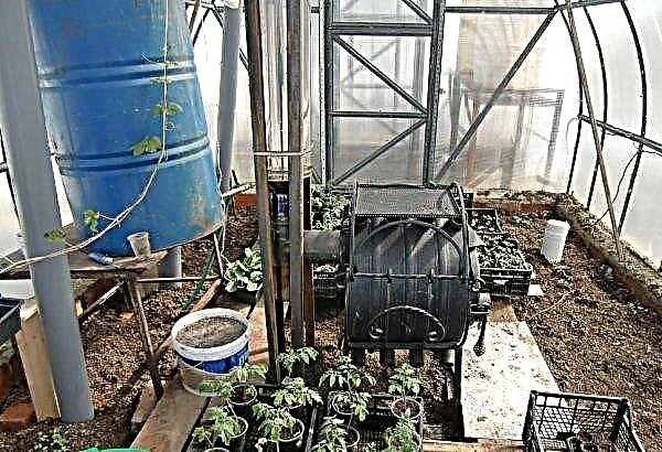 Heating a polycarbonate greenhouse in winter: infrared heaters, lamps and furnaces, using liquid fuel, gas, how to do it yourself, video