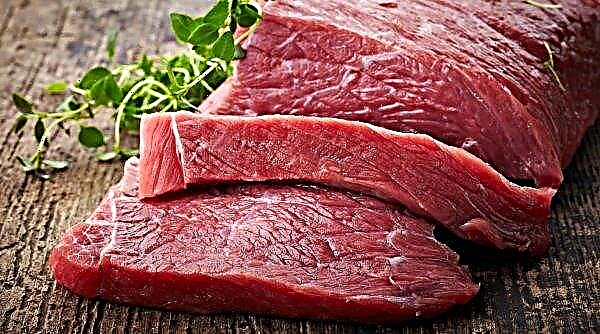 تلزم الصين منتجي لحم الخنزير بالحصول على شهادات تؤكد عدم وجود ASF في منتجاتهم