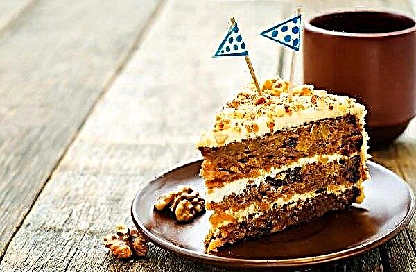 Carrot cake with walnuts, cinnamon, prunes, cheese and curd cream: recipes, description and photo