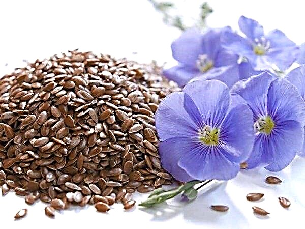 Belarusian scientists developed two new varieties of flax