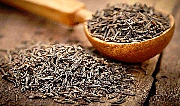 Cumin and thyme: the same thing? What is the difference, the main differences of the photo