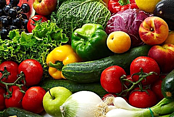 Les fruits et légumes géorgiens réduisent le chiffre d'affaires à l'exportation