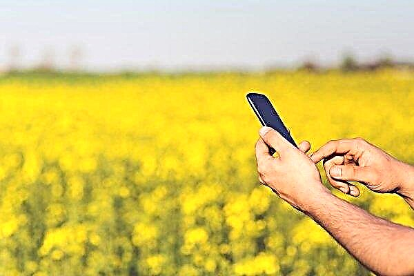 Los agricultores avanzados conocen a un "colega" digital