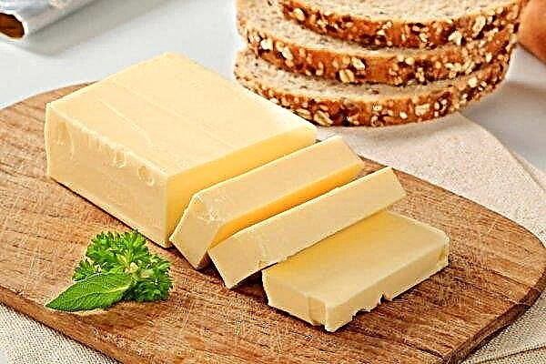 Butter in Ukraine will not rise in price, but will not fall in price