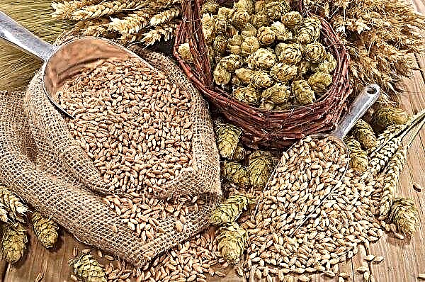 This season, Ukraine may increase grain exports by 7.3 percent