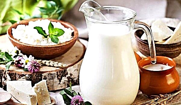 Britanija će sniziti cijene mlijeka